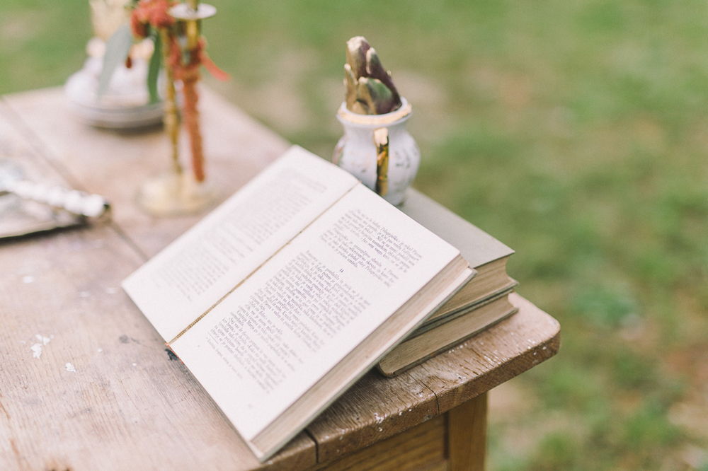 Simona_Predrag_poroka_lr-93